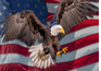 ab4351ae-6361-4f75-8f1e-70b6552a1ecb