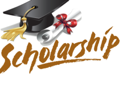 scholarship 2020